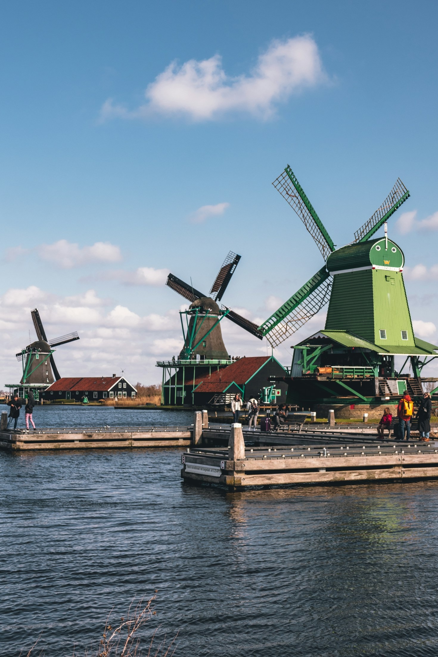 Die schönsten Radwege durch das grüne Friesland
